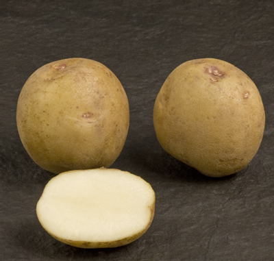 Atlantic tubers