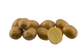 madeleine potato tuber