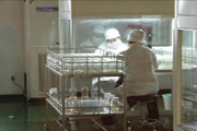 potato tissue culture cutting table