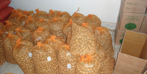 package for G0 potato minituber