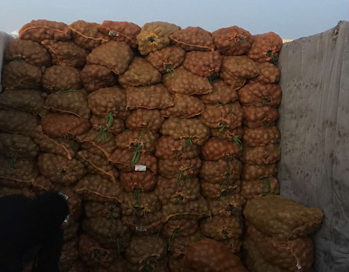 packages for G1 and G2 potato seeds