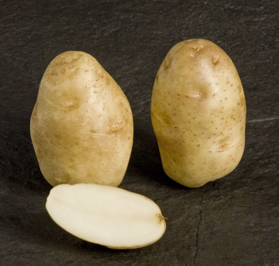 Russet burbank tuber